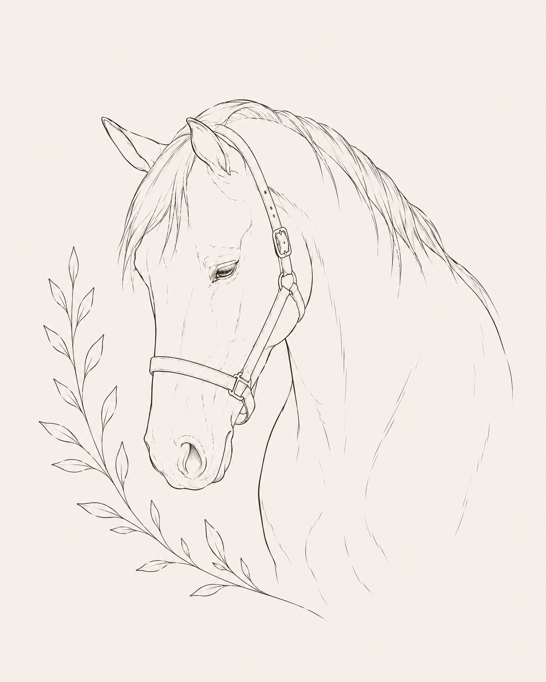 Equine & Large